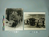 藏品(吉林老爺嶺的冬天)的圖片